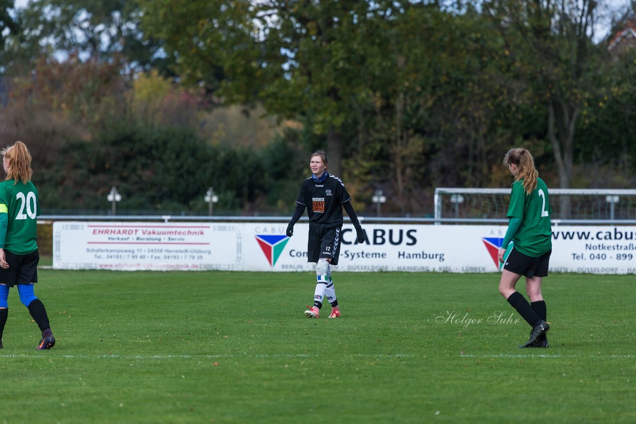 Bild 208 - B-Juniorinnen SV Henstedt Ulzburg - SG ONR : Ergebnis: 14:0